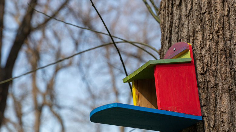 a brightly colored nesting shelf mounted on a tree