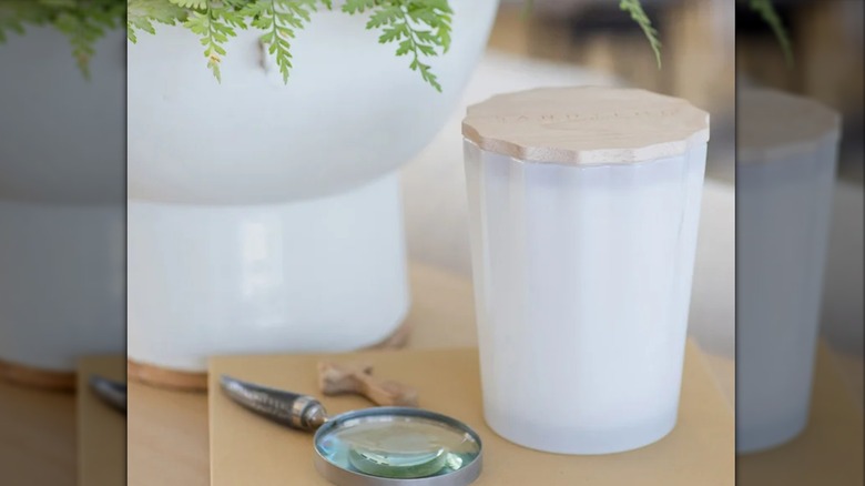 A large white candle sits next to a potted plant and a book topped with a magnifying glass