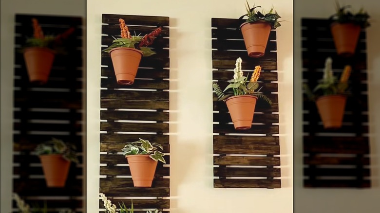 Hanging plant pots on dark wood slat wall decor