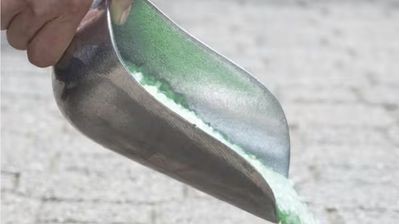 Person pouring out ice melt