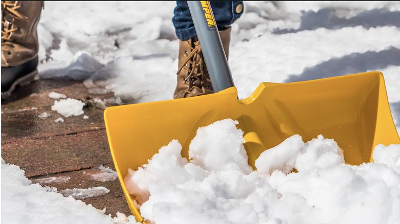 Closeup on True Temper snow shovel