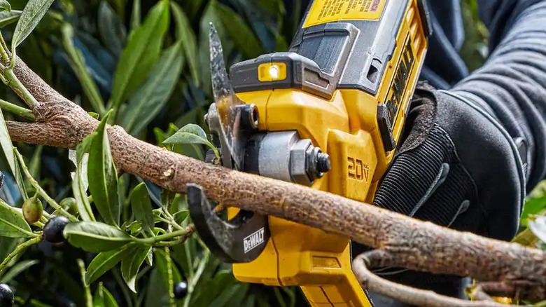 A person wearing black gloves uses a Dewalt cordless pruner to cut a thick limb