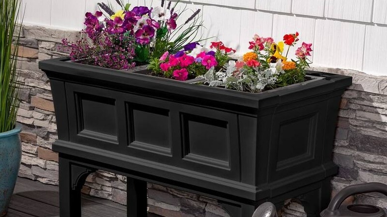 A Step2 Winfield black plastic raised planter box with plants inside of it