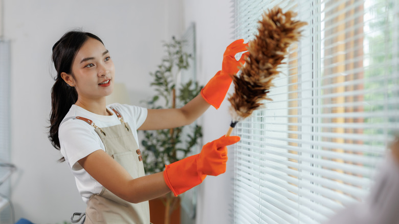 Woman cleaning blinds with a feather duster