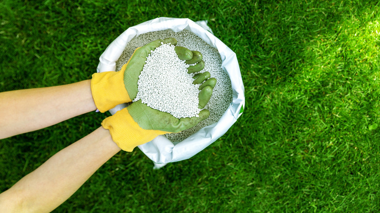 Person scooping granulated fertilizer out of a bag