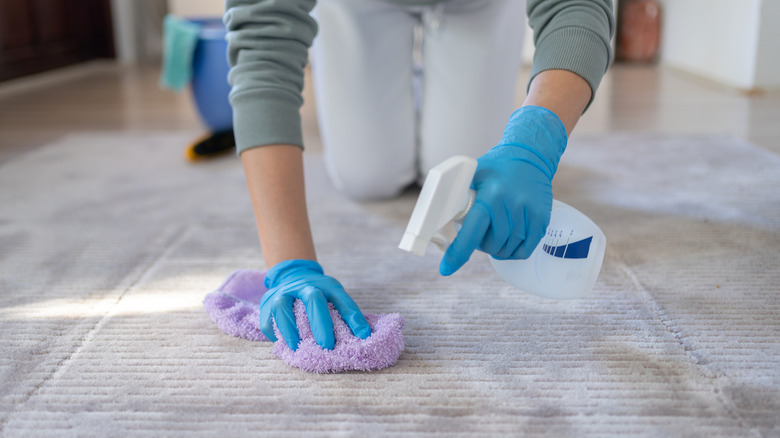 Person spraying a solution on a microfiber cloth pressed against a carpet