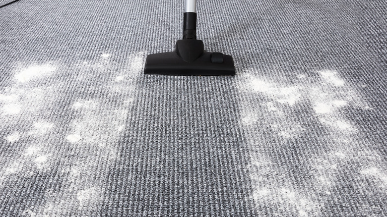 Vacuuming up carpet powder cleaner