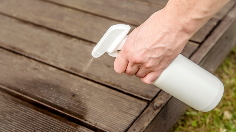 Spraying patio planks with DIY repellent