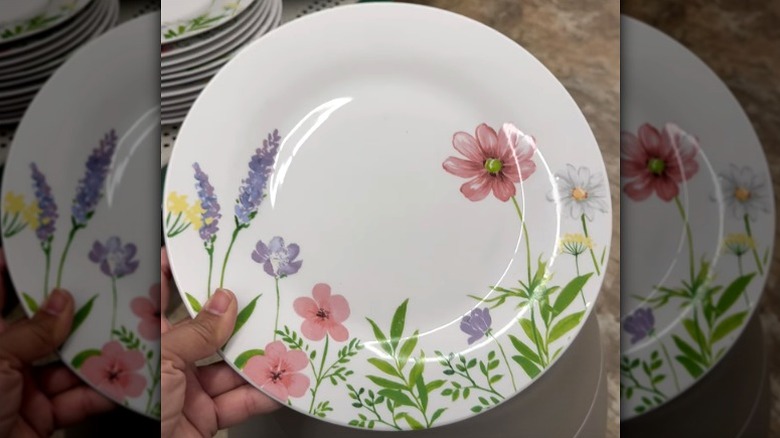 Person holding Dollar Tree spring-themed dinnerware.