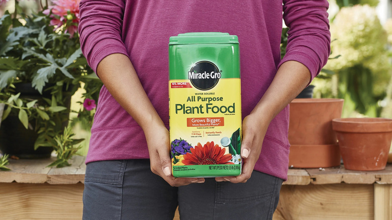 Gardener holding a container of Miracle-Gro plant food standing next to a potting bench