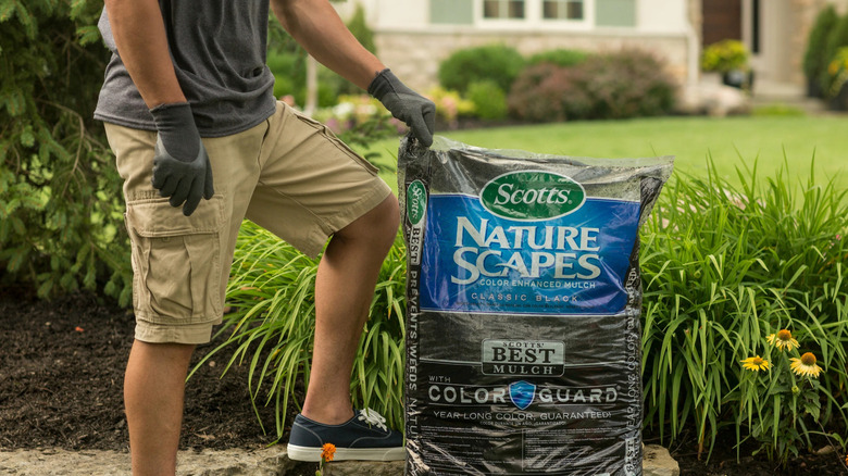 Person holding up a bag of Scotts Nature Scapes mulch next to a planting bed