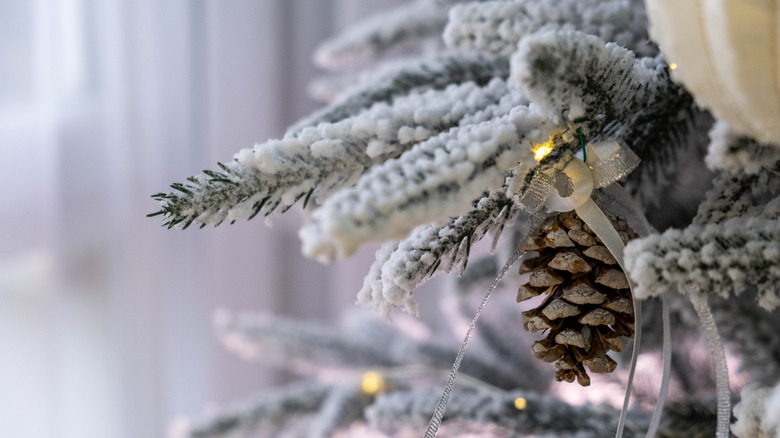 Close-up shot of frosted Christmas tree