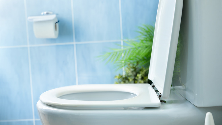 Clean toilet viewed from side in blue bathroom