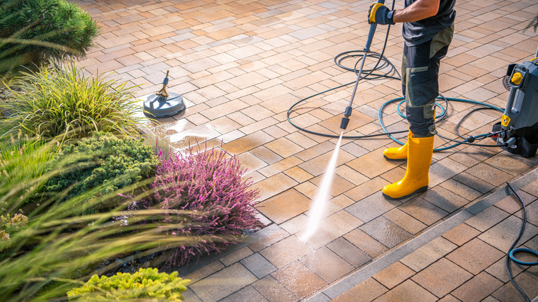 A person in yellow boots uses as pressure washer to clean pavers near lavender and green bushes