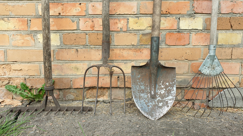 Dirty, rusty gardening tools lined up against a brick wall