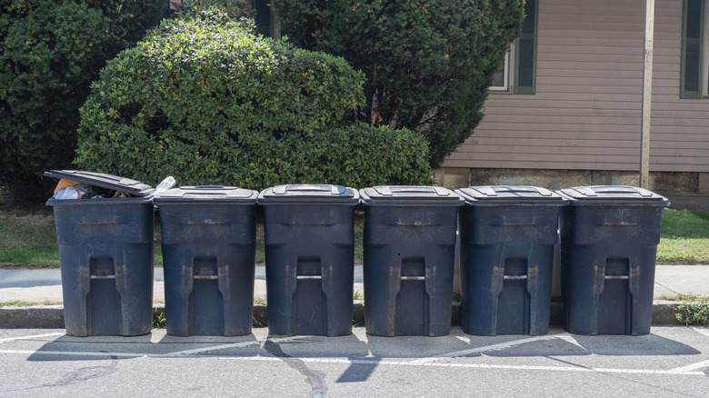 Trash cans lined up against a curb on a residential street