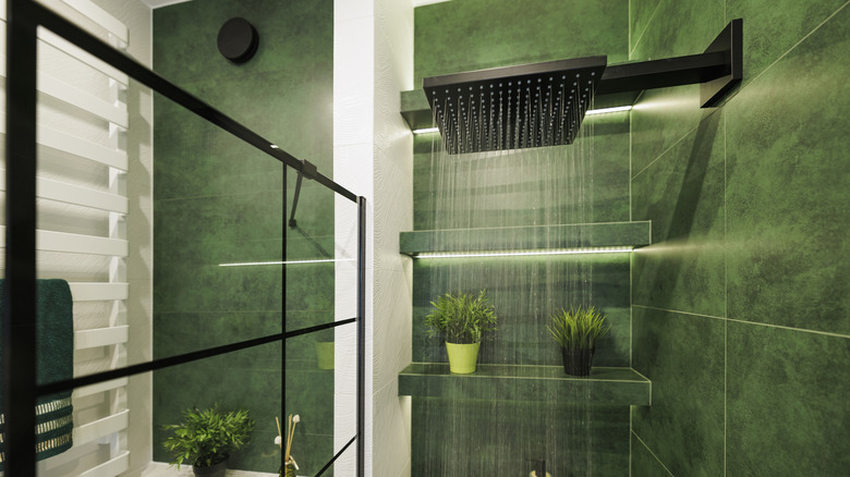 A green bathroom with a rainfall showerhead