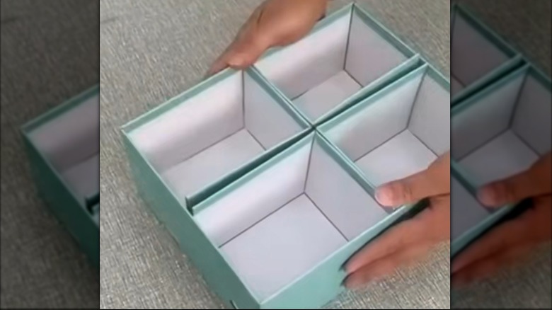 Pastel shoebox divided into four compartments for storage.