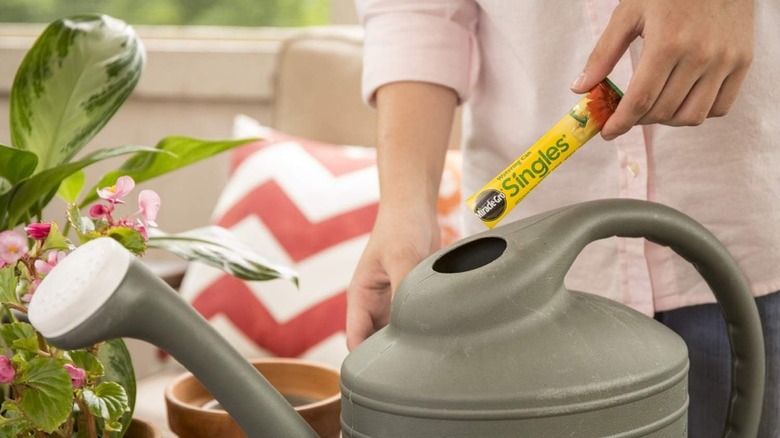 A person's hands are shown pouring a Miracle-Gro Watering Can Single Packet into a gray watering can