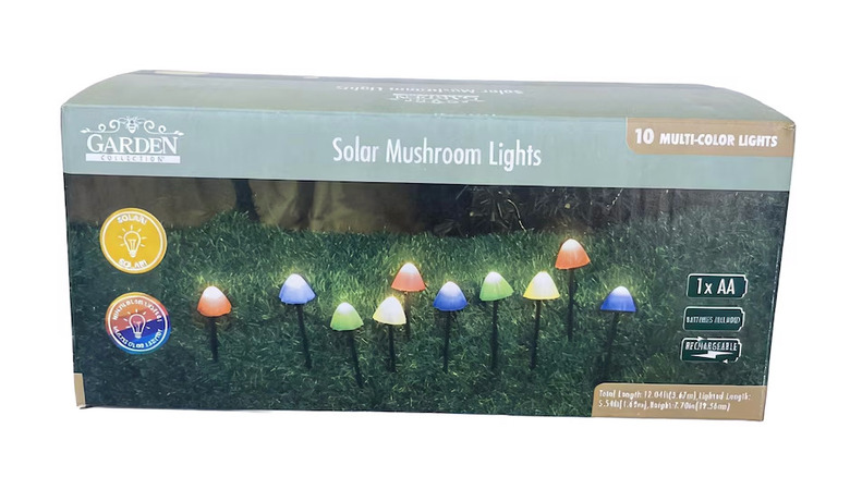A box of Garden Collection Solar Mushroom Lights on display
