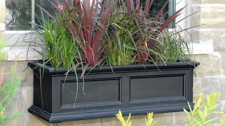 A variety of decorative grasses are planted in a black window box