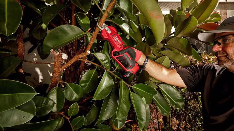 A man uses a red Milwaukee Cordless Pruner to cut a large tree limb