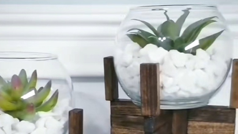 Glass fishbowl terrariums with white rocks and succulents on rustic wood stands