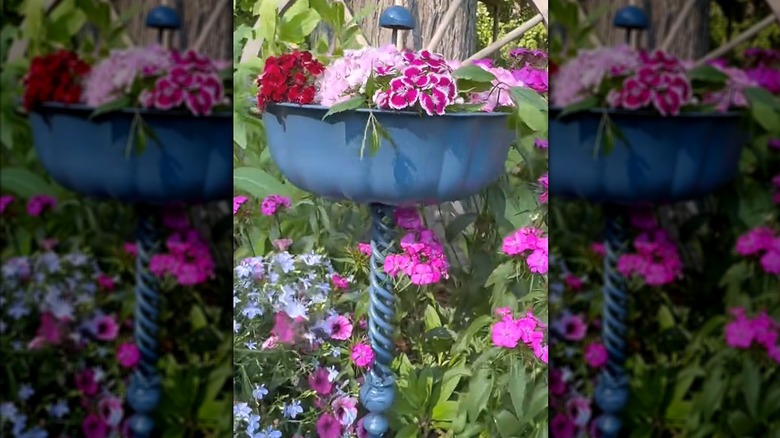 Blue painted Bundt pan garden planter in floral garden