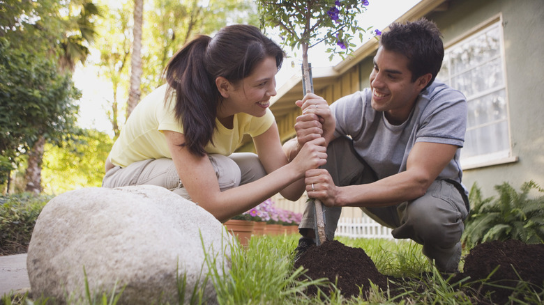 A smiling couple planting a flowering shrub in their garden