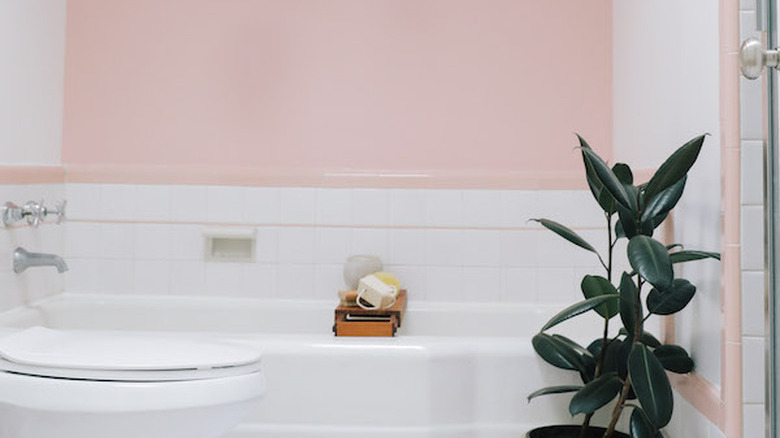 A bathroom with a pink accent wall