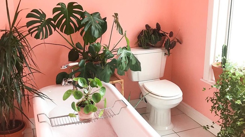 A bathroom painted in vibrant pink