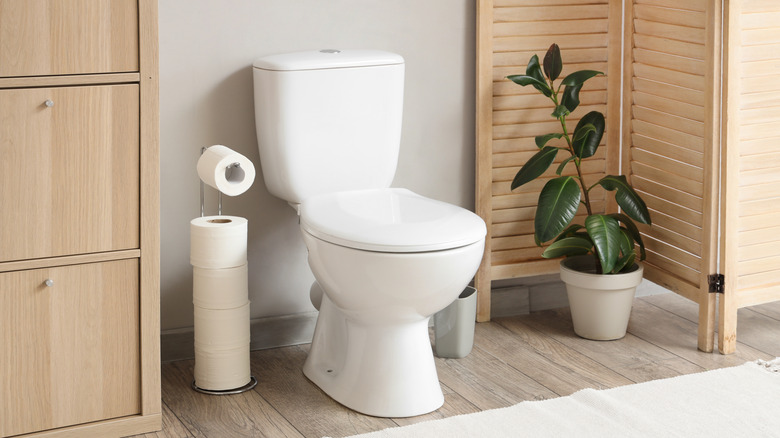 A simple white toilet beside a potted plant and toilet paper holder.