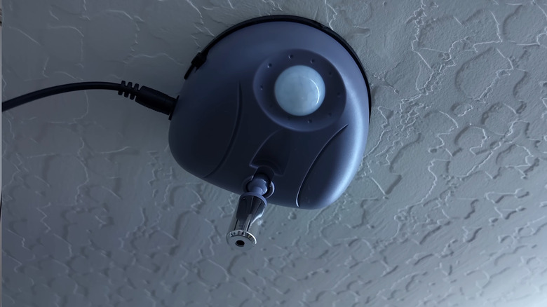 Ceiling-mounted car parking laser