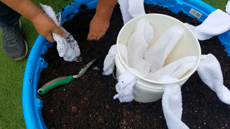 Building a garden capillary system with old towels