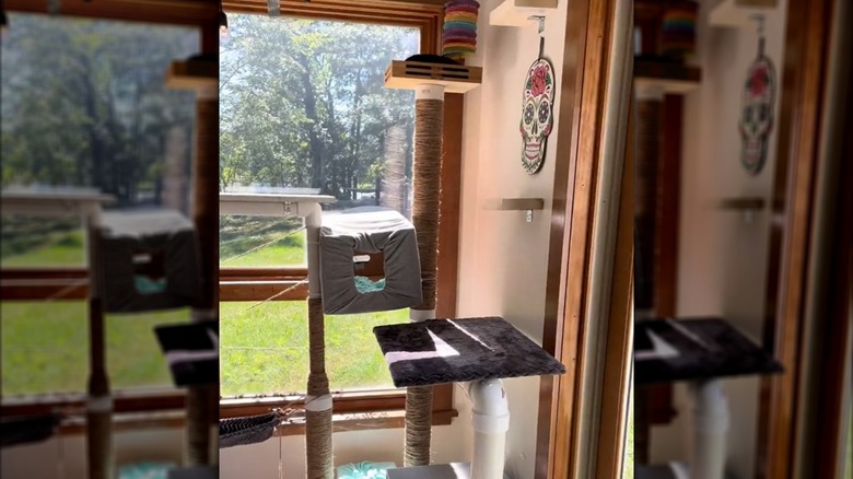 DIY cat tree with various perches and scratching posts made from PVC pipes