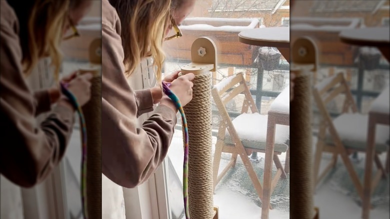 Woman attaching DIY PVC pipe scratching post to sliding glass door for cats