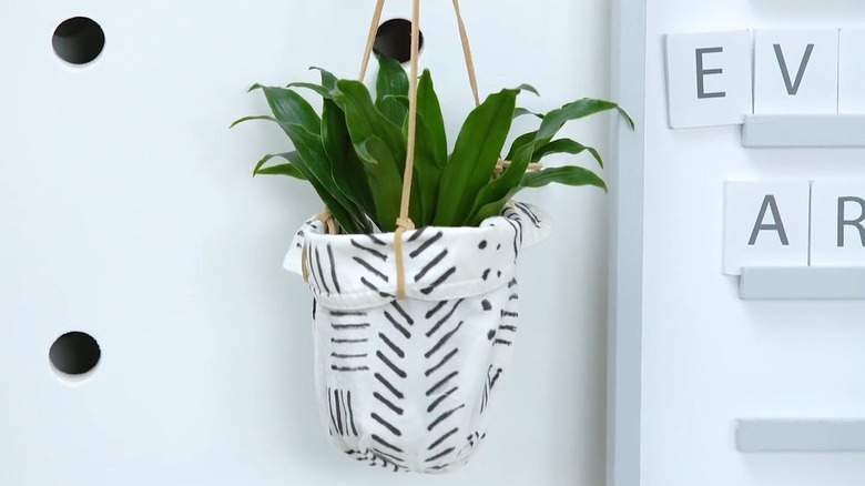 Hanging houseplant in repurposed shirt sleeve hanging on white wall
