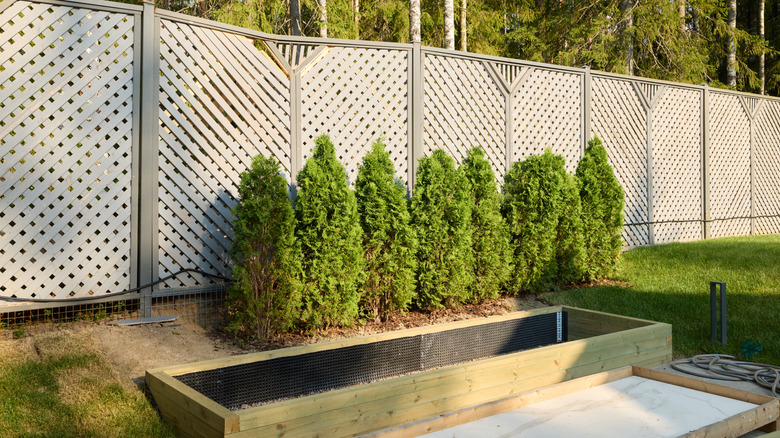 lattice privacy fence