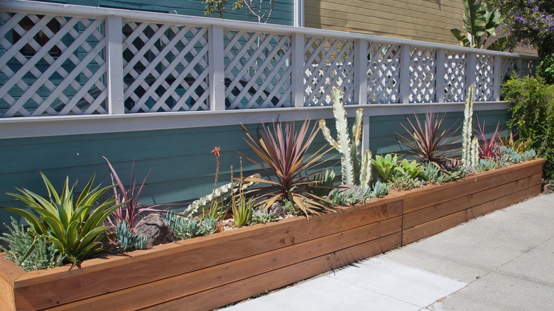 lattice around deck