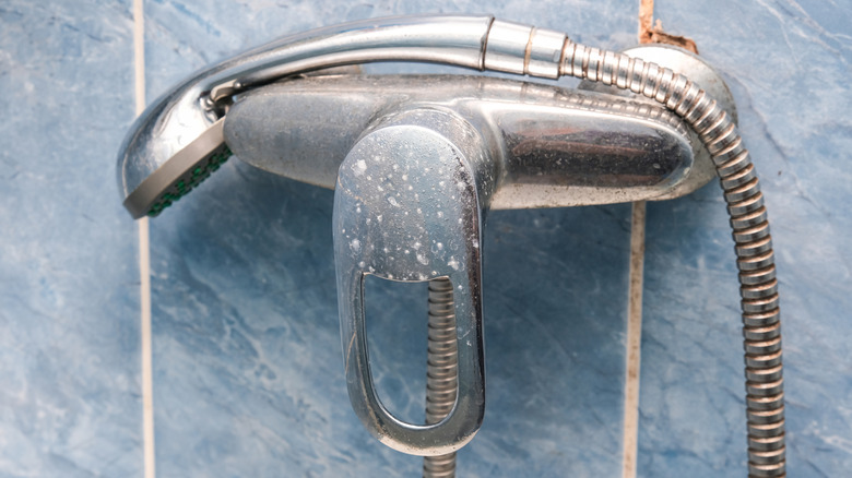 A showerhead and fixture in a bathroom, covered with hard water stains