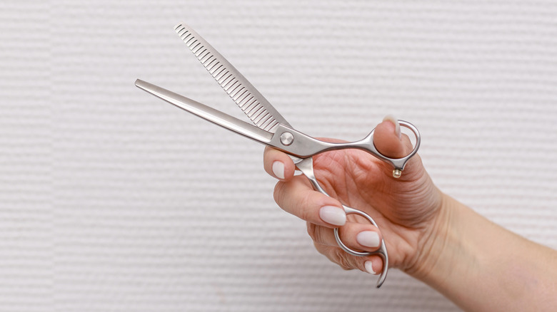 Hand holding a pair of hair-cutting scissors against a white background
