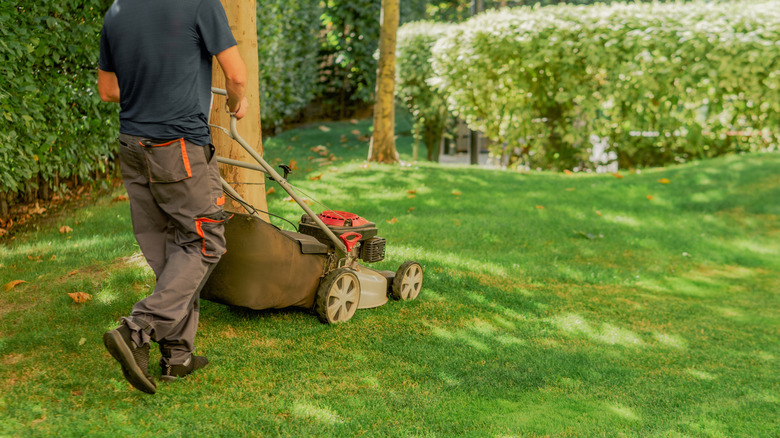 A person mows the lawn.