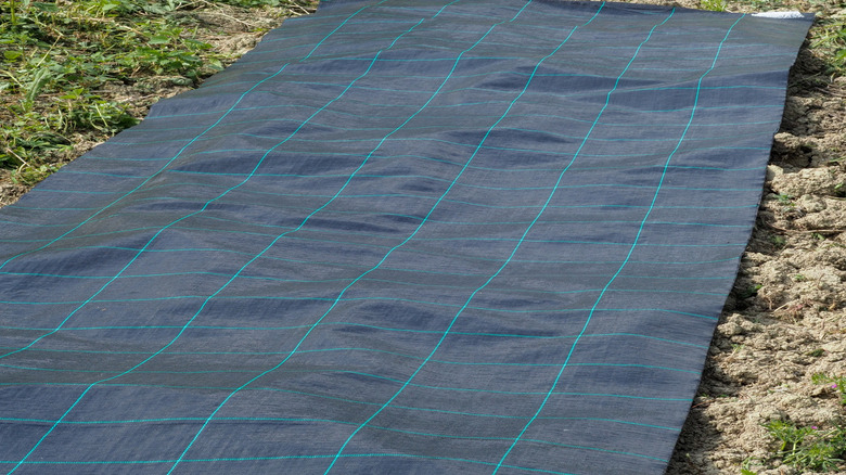 Black fabric covering the ground