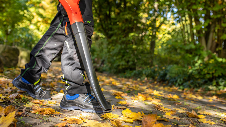 leaf blower cleaning a path