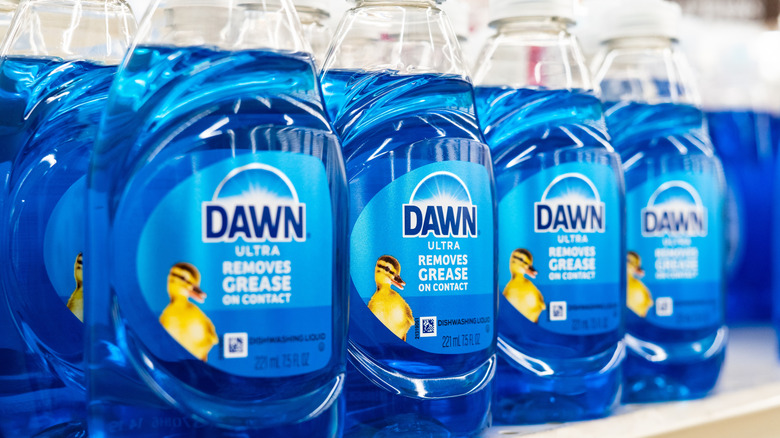 Bottles of Dawn Ultra Dishwashing Liquid sit on a store shelf