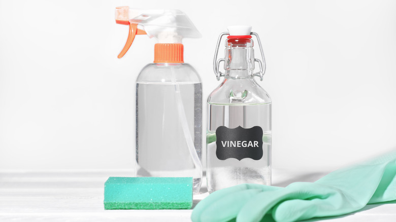 A bottle of vinegar sitting next to a spray bottle, sponge, and rubber glove