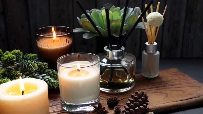 Tray of different fragrance products: dried potpourri, candles, and reed diffusers