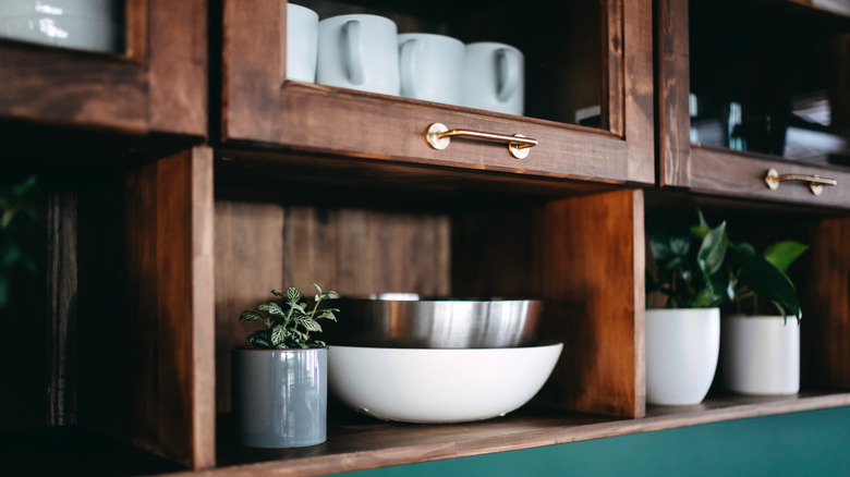Kitchen cabinets and shelves for storage