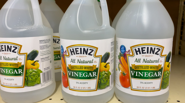 jugs of distilled white vinegar on a store shelf