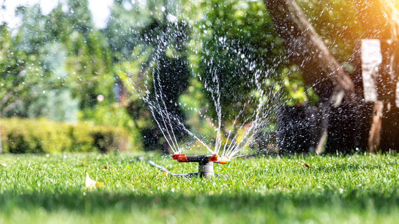 A model of automatic smart sprinkler spraying water across a green lawn